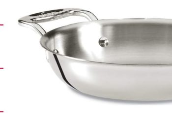 All-Clad Specialty Stainless Steel Gratins 6 Inch Pots and Pans Review