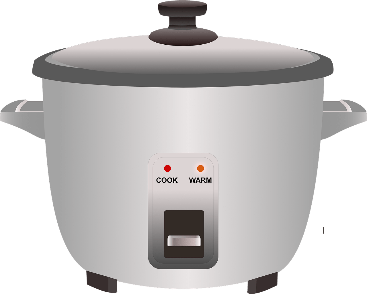 Electric Pressure Cooker Vs. Slow Cooker: A Comparative Guide