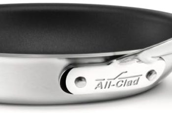 All-Clad D5 5-Ply Fry Pan Review