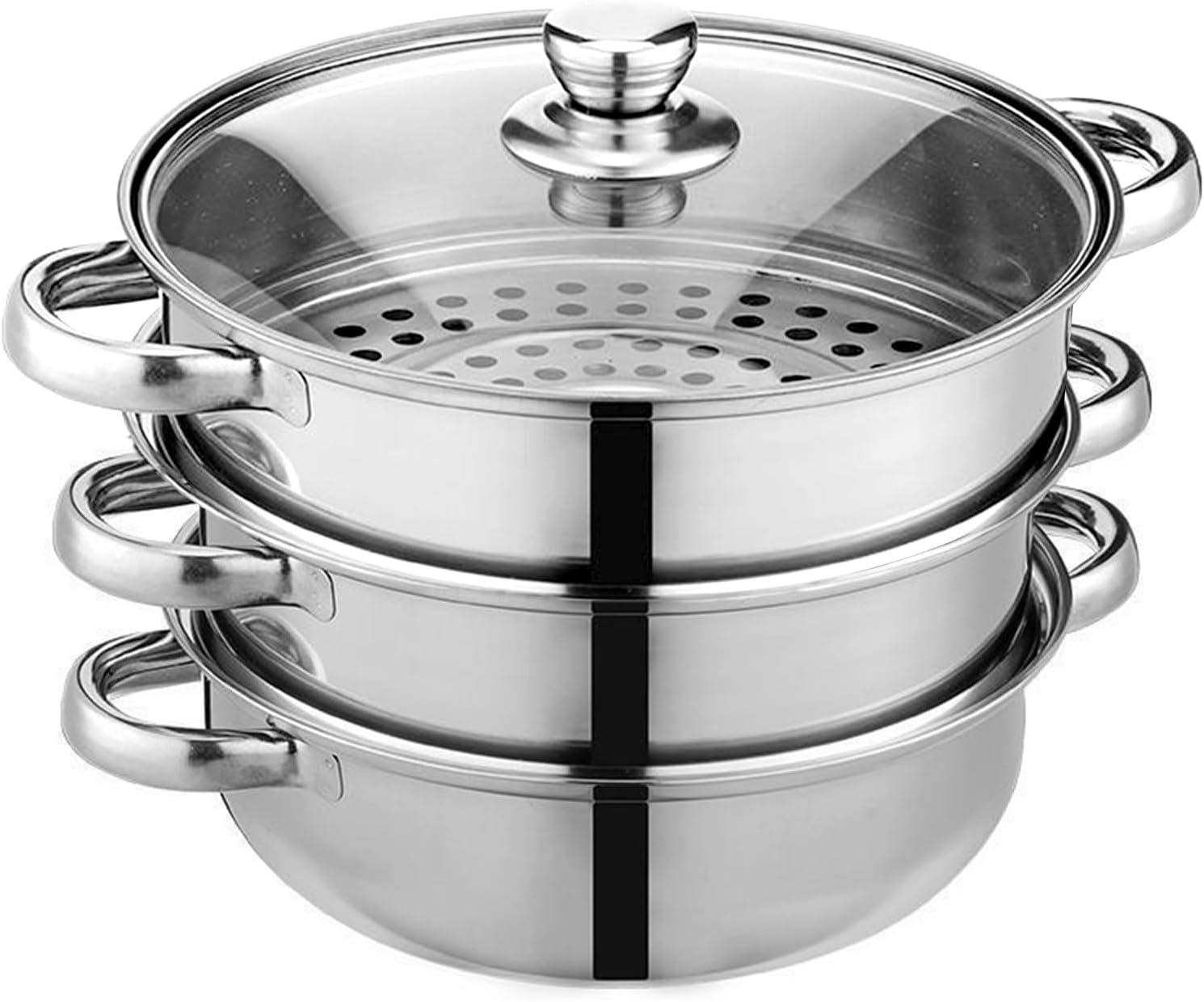 Steamer Pot for Cooking 11 inch Steamer Pot, 2-tier Multipurpose 18/8 Stainless Steel Steam Pot Cookware with Lid for Vegetable, Dumpling, Stock, Sauce, Food