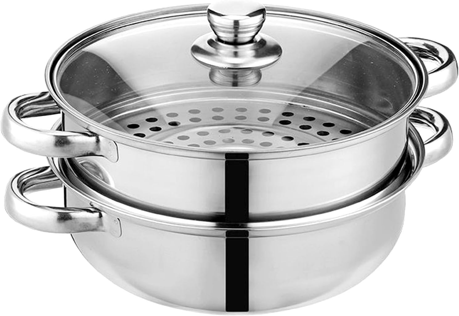 Steamer Pot for Cooking 11 inch Steamer Pot, 2-tier Multipurpose 18/8 Stainless Steel Steam Pot Cookware with Lid for Vegetable, Dumpling, Stock, Sauce, Food